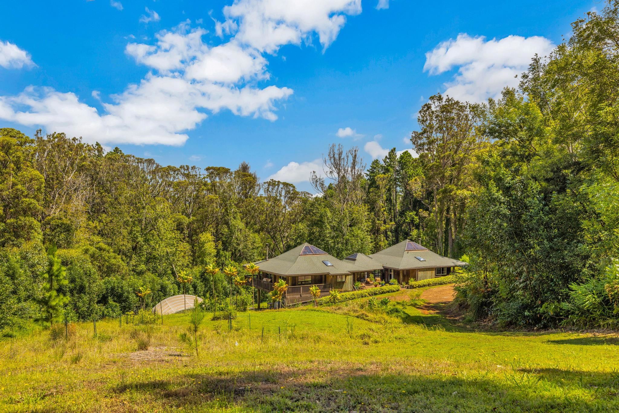 115  Alaluana Rd Olinda, Makawao/Olinda/Haliimaile home - photo 37 of 49