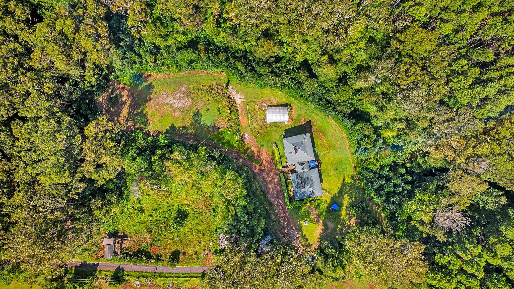 115  Alaluana Rd Olinda, Makawao/Olinda/Haliimaile home - photo 43 of 49