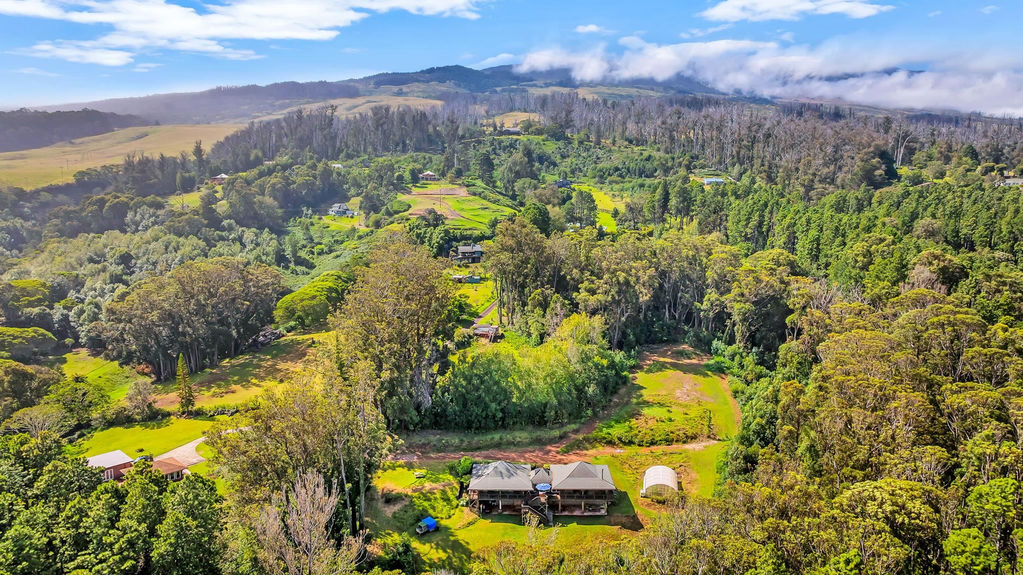 115  Alaluana Rd Olinda, Makawao/Olinda/Haliimaile home - photo 44 of 49