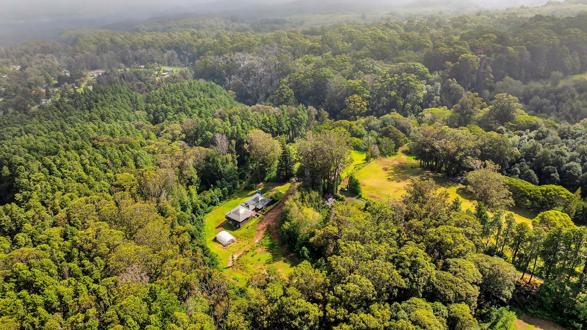 115  Alaluana Rd Olinda, Makawao/Olinda/Haliimaile home - photo 47 of 49