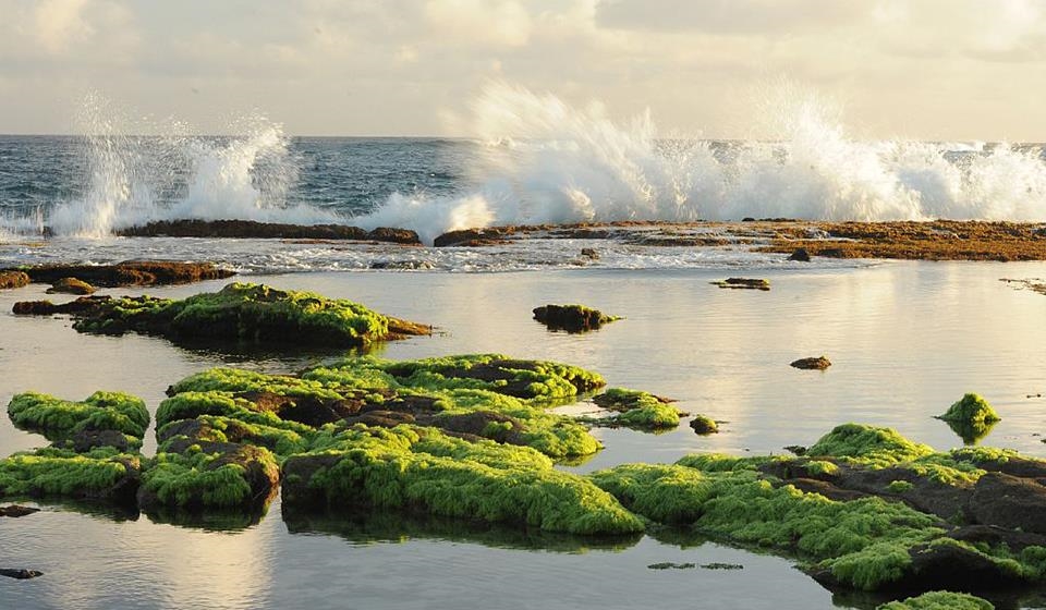 115  Aleiki Pl Kuau Point, Spreckelsville/Paia/Kuau home - photo 46 of 46