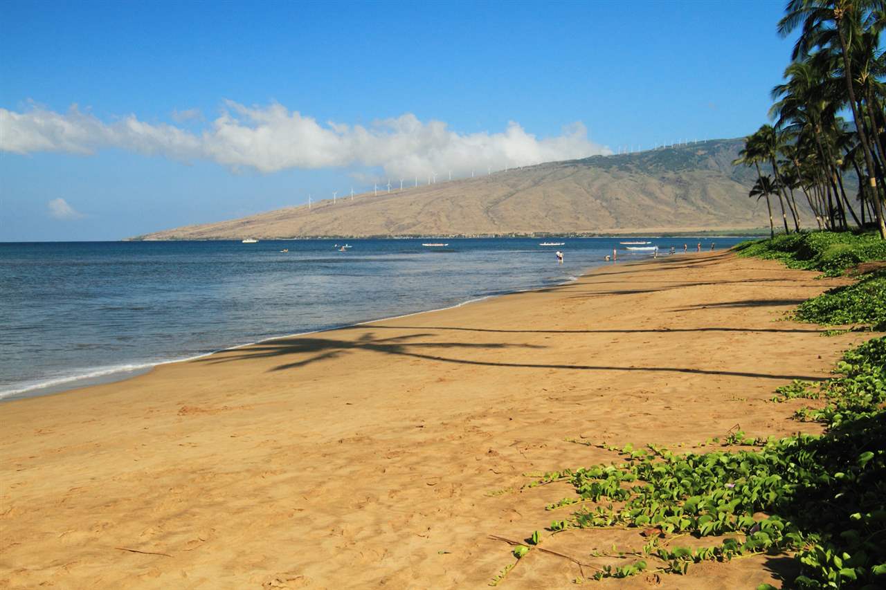 Kihei Sands condo # A5, Kihei, Hawaii - photo 20 of 20