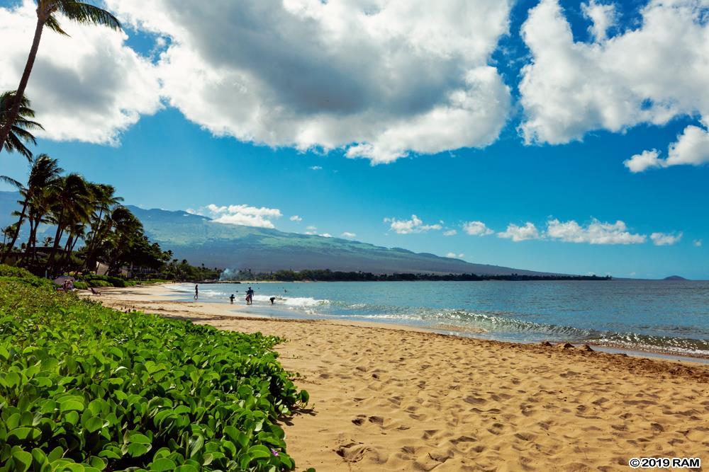 Kihei Sands condo # B1, Kihei, Hawaii - photo 19 of 29