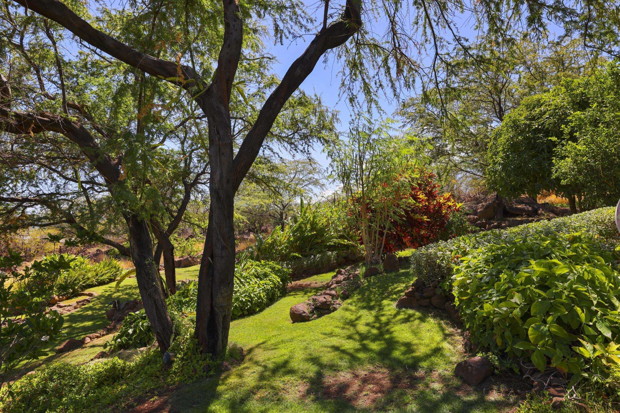 115  Ulua Rd Kawela Plantation, Molokai home - photo 45 of 50