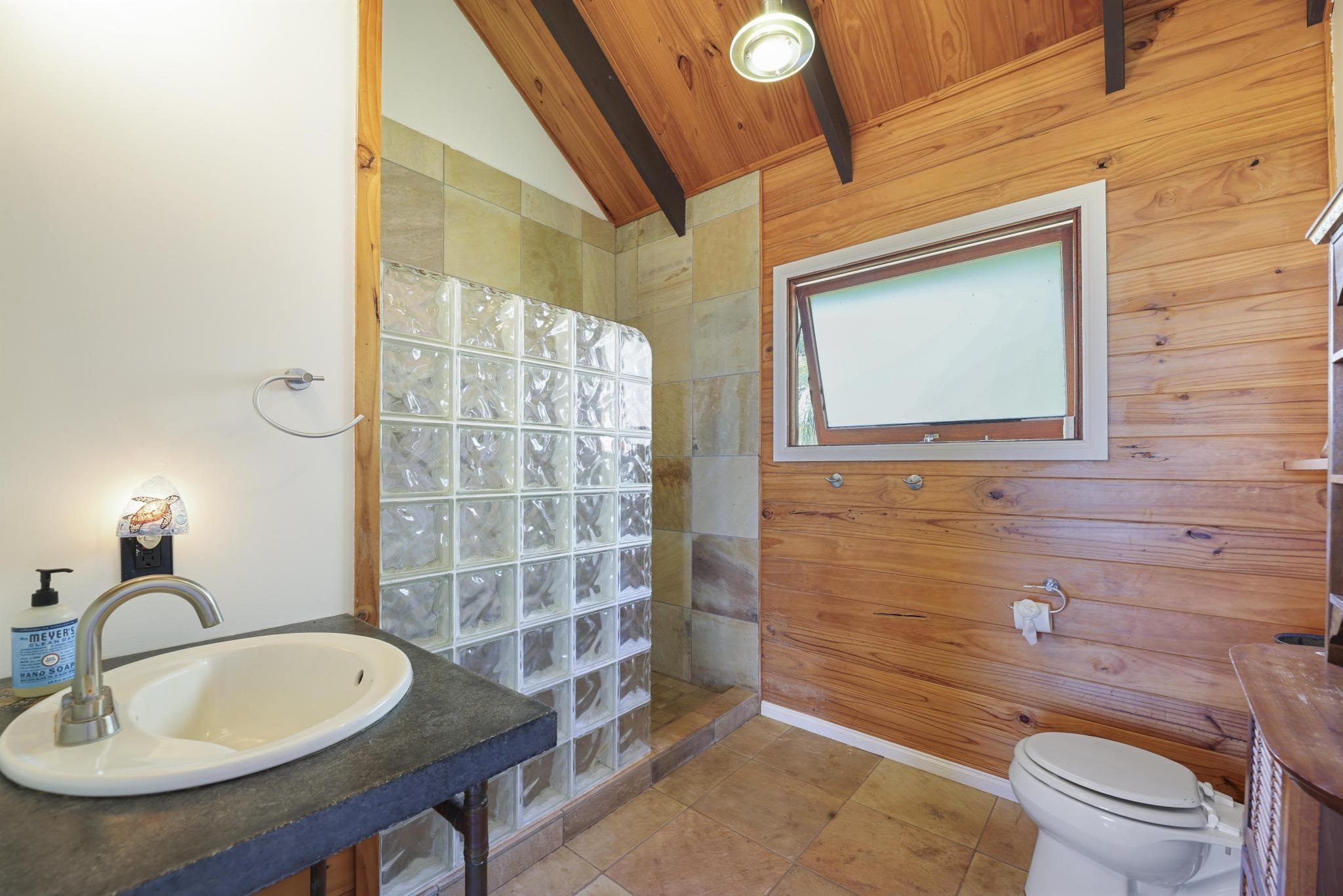 115  Ulua Rd Kawela Plantation, Molokai home - photo 48 of 50