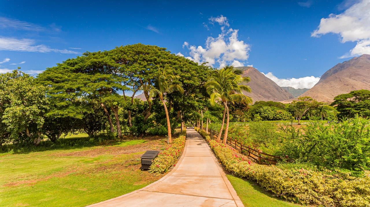 11505  Honoapiilani Hwy Olowalu Village, Olowalu home - photo 26 of 49
