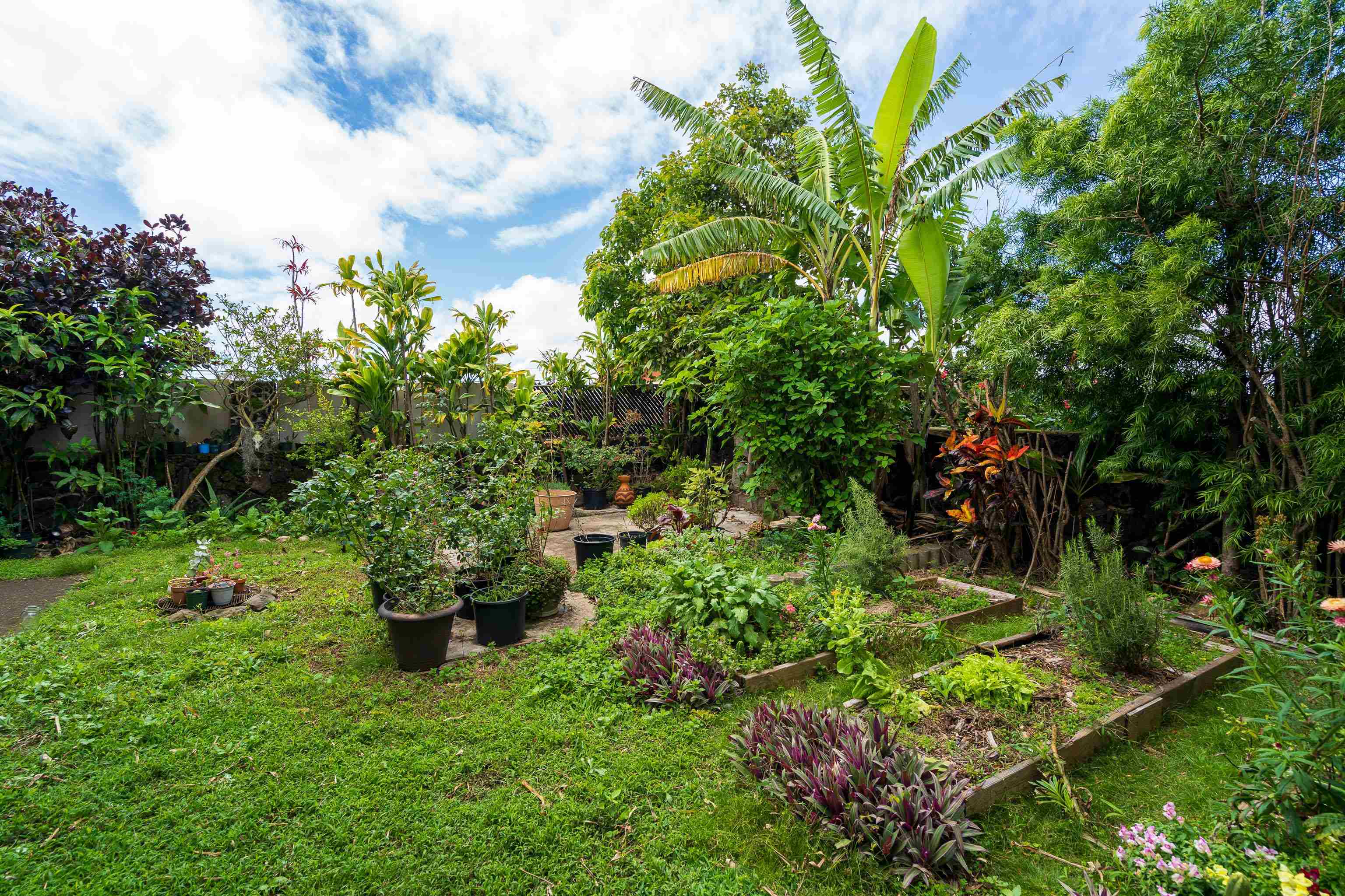 1151  Nakui St , Makawao/Olinda/Haliimaile home - photo 14 of 30