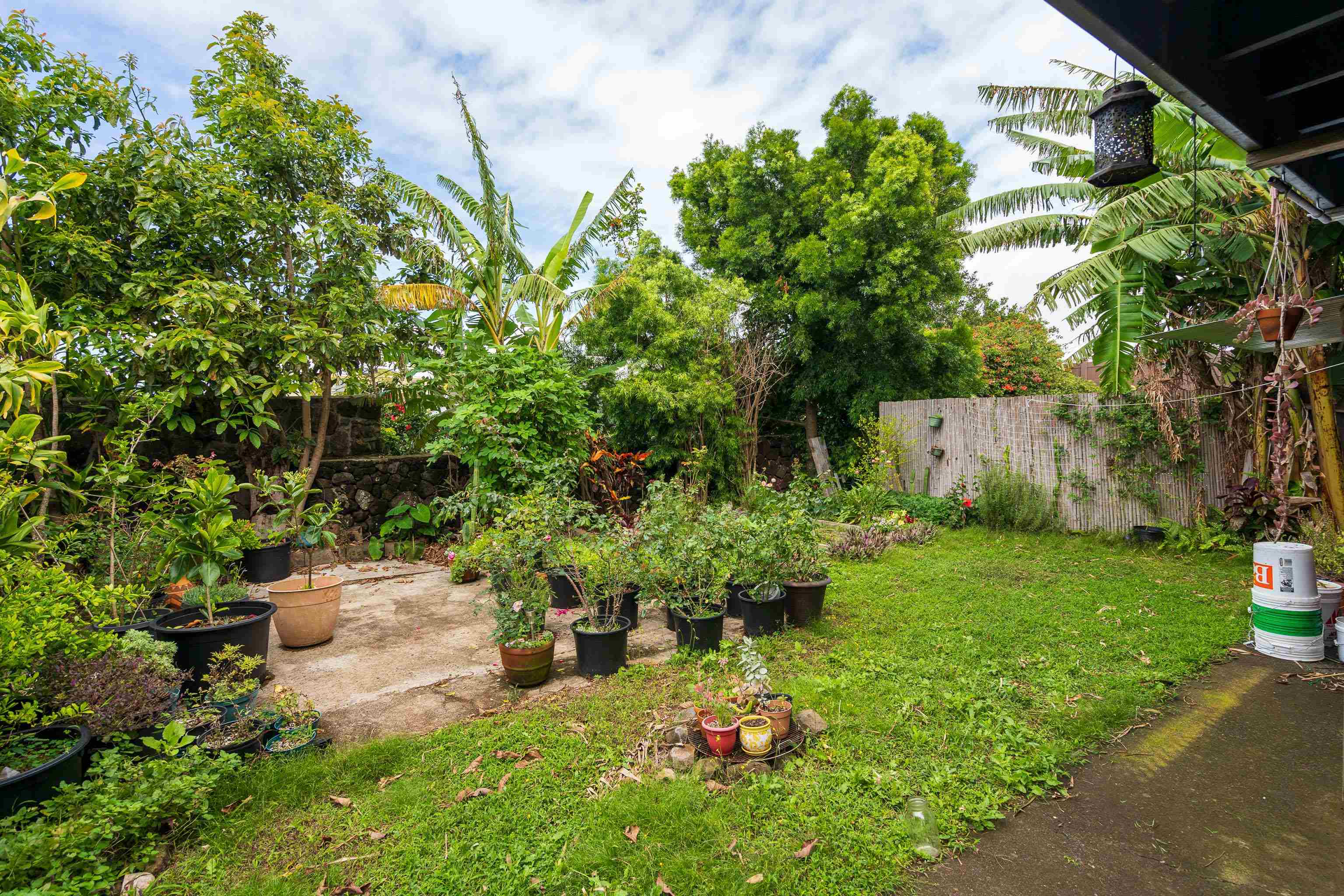 1151  Nakui St , Makawao/Olinda/Haliimaile home - photo 3 of 30