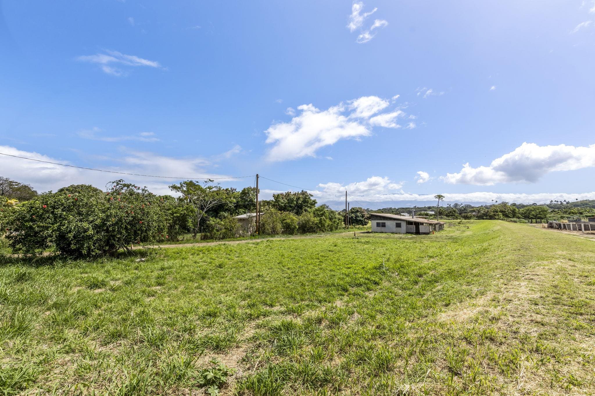 1159  Piihana Rd Happy Valley, Wailuku home - photo 4 of 31