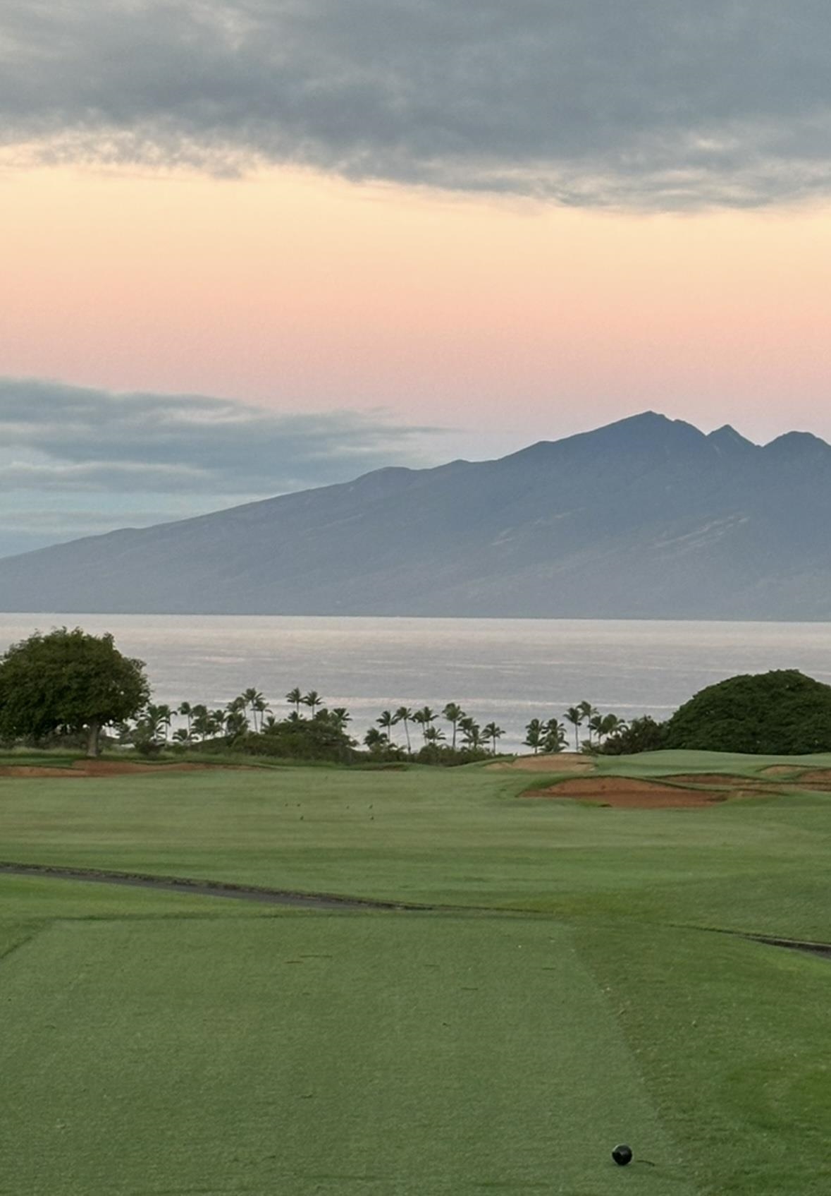 116  Pulelehua St Kapalua, Kapalua home - photo 2 of 39