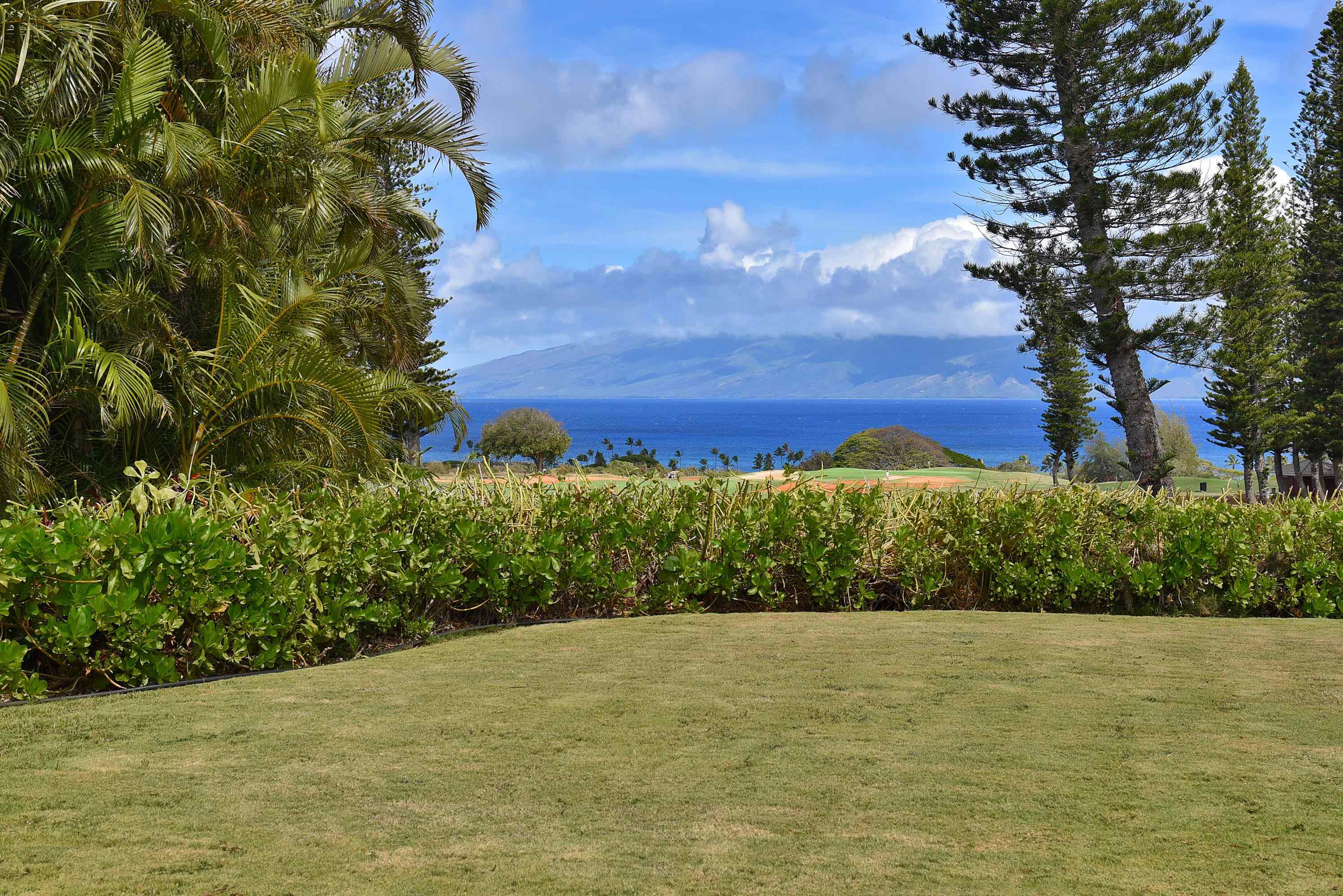 116  Pulelehua St Kapalua, Kapalua home - photo 32 of 39