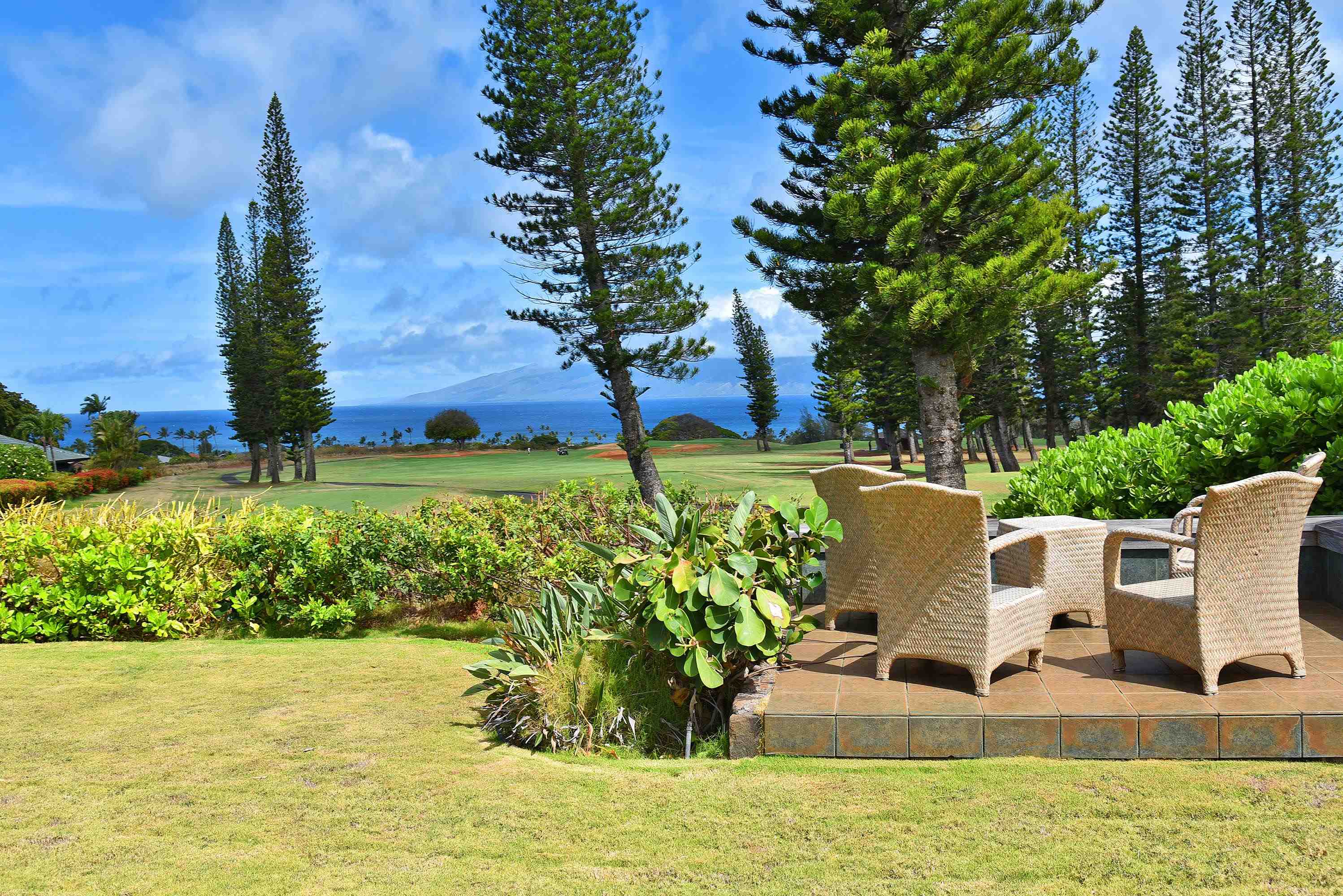 116  Pulelehua St Kapalua, Kapalua home - photo 33 of 39