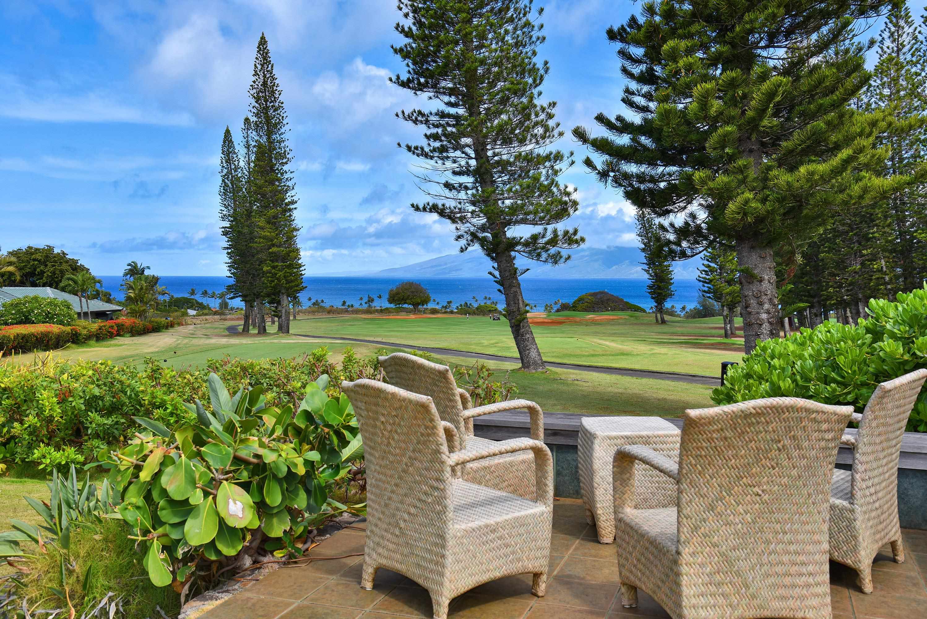 116  Pulelehua St Kapalua, Kapalua home - photo 34 of 39