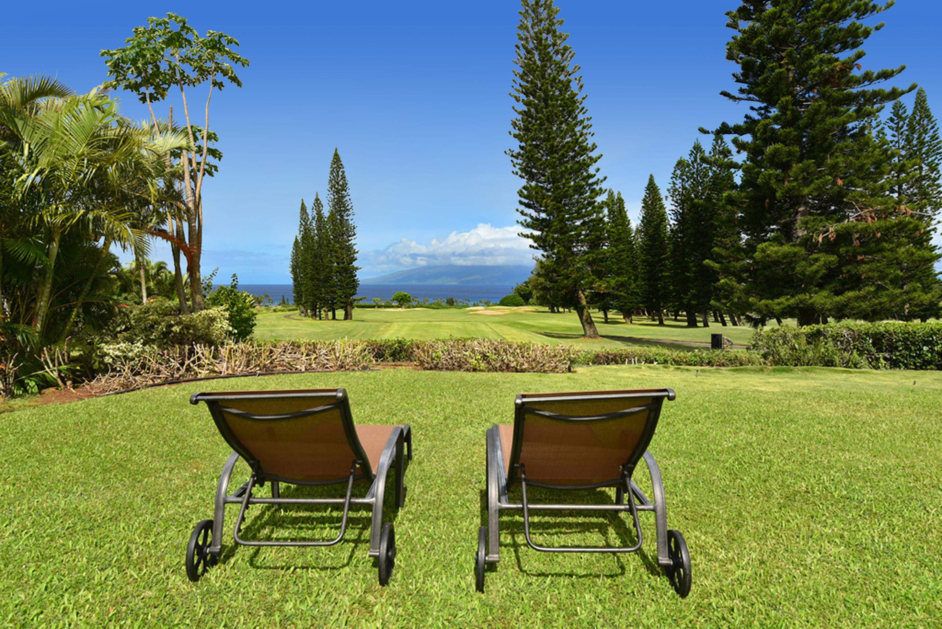 116  Pulelehua St Kapalua, Kapalua home - photo 35 of 39