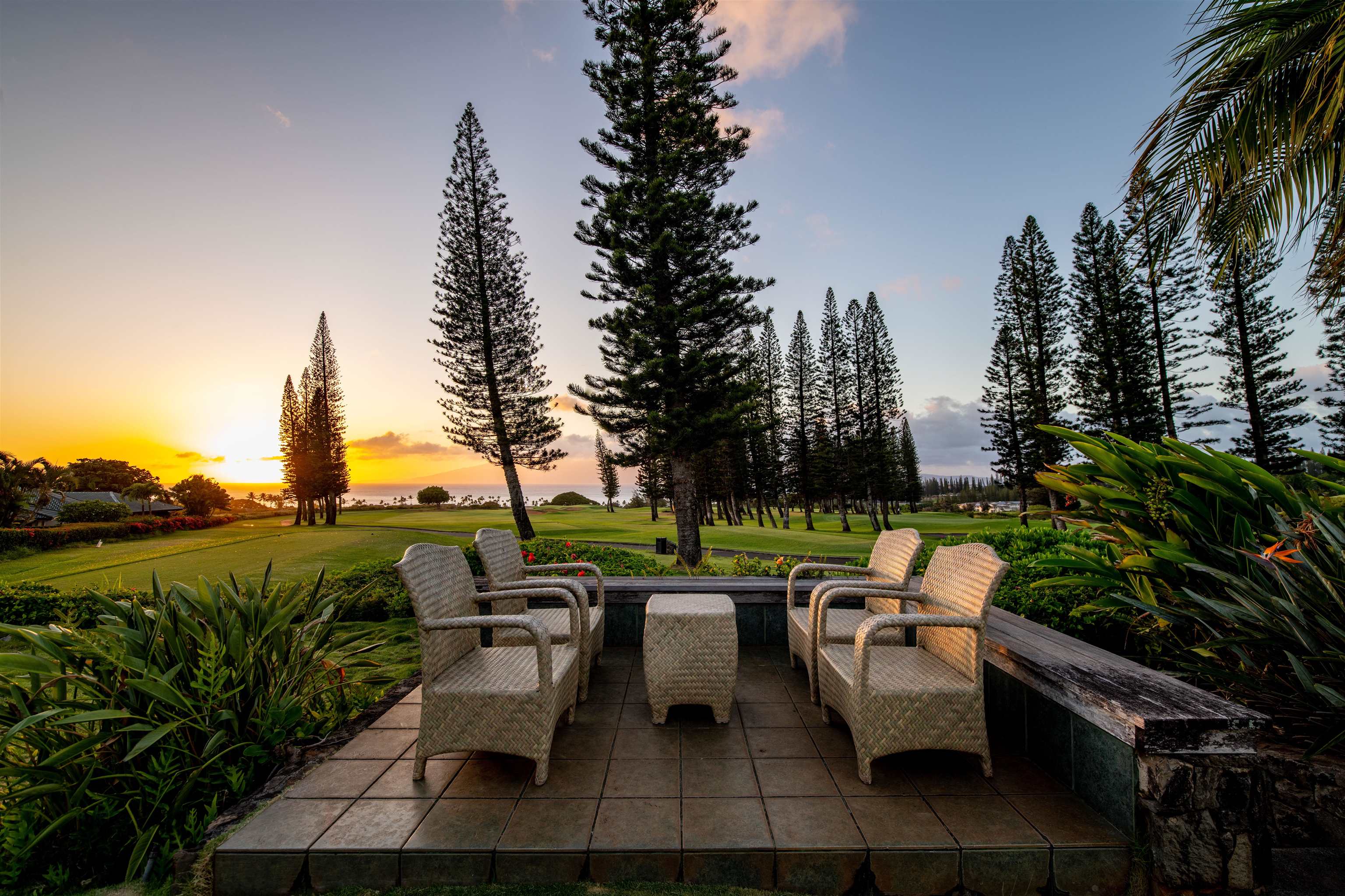 116  Pulelehua St Kapalua, Kapalua home - photo 39 of 39