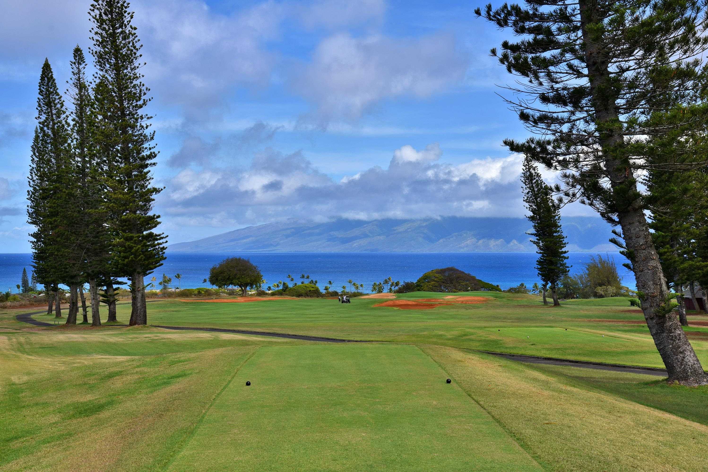 116  Pulelehua St Kapalua, Kapalua home - photo 8 of 39