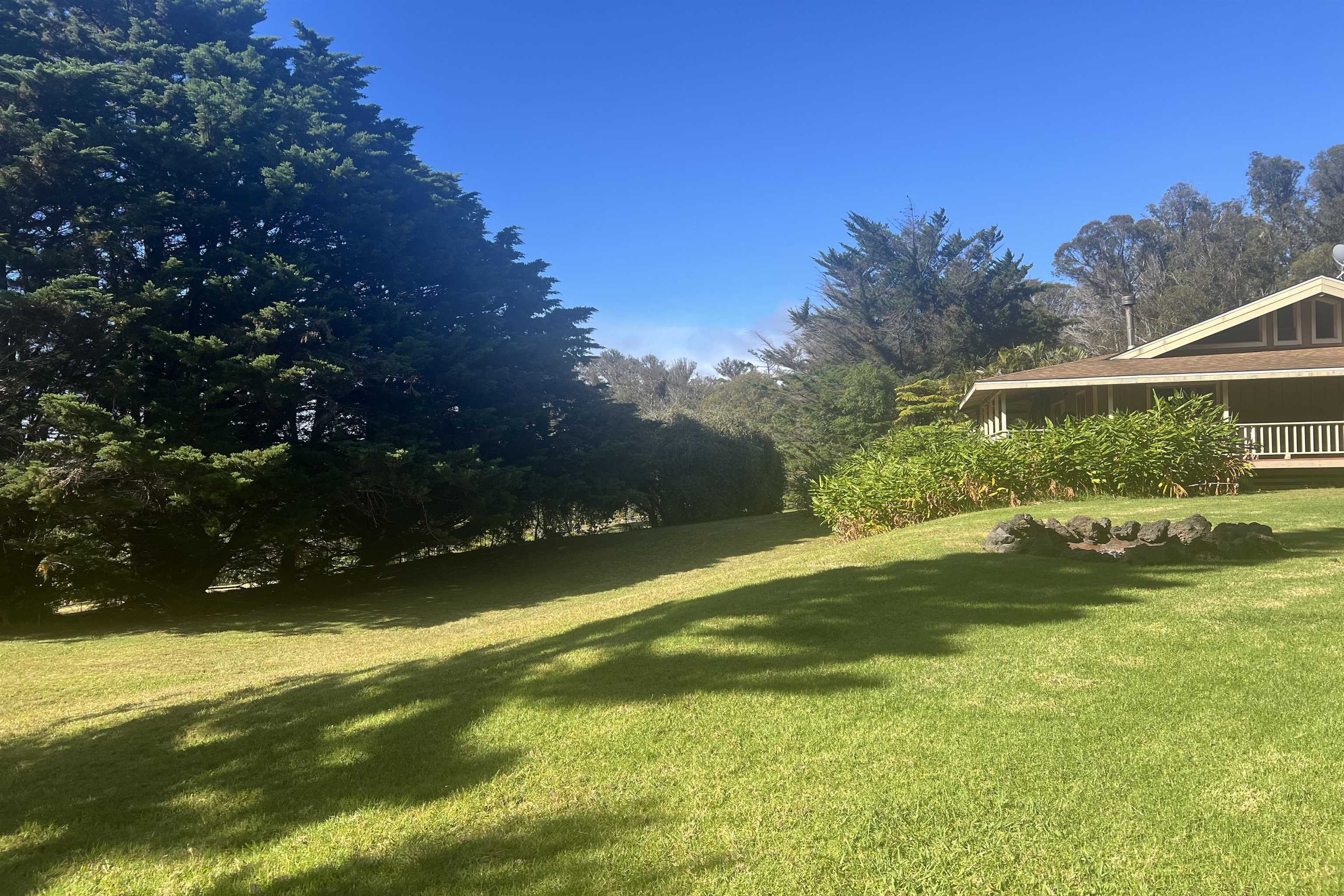 1160  Ehu Rd Upper Piiholo, Makawao/Olinda/Haliimaile home - photo 14 of 18