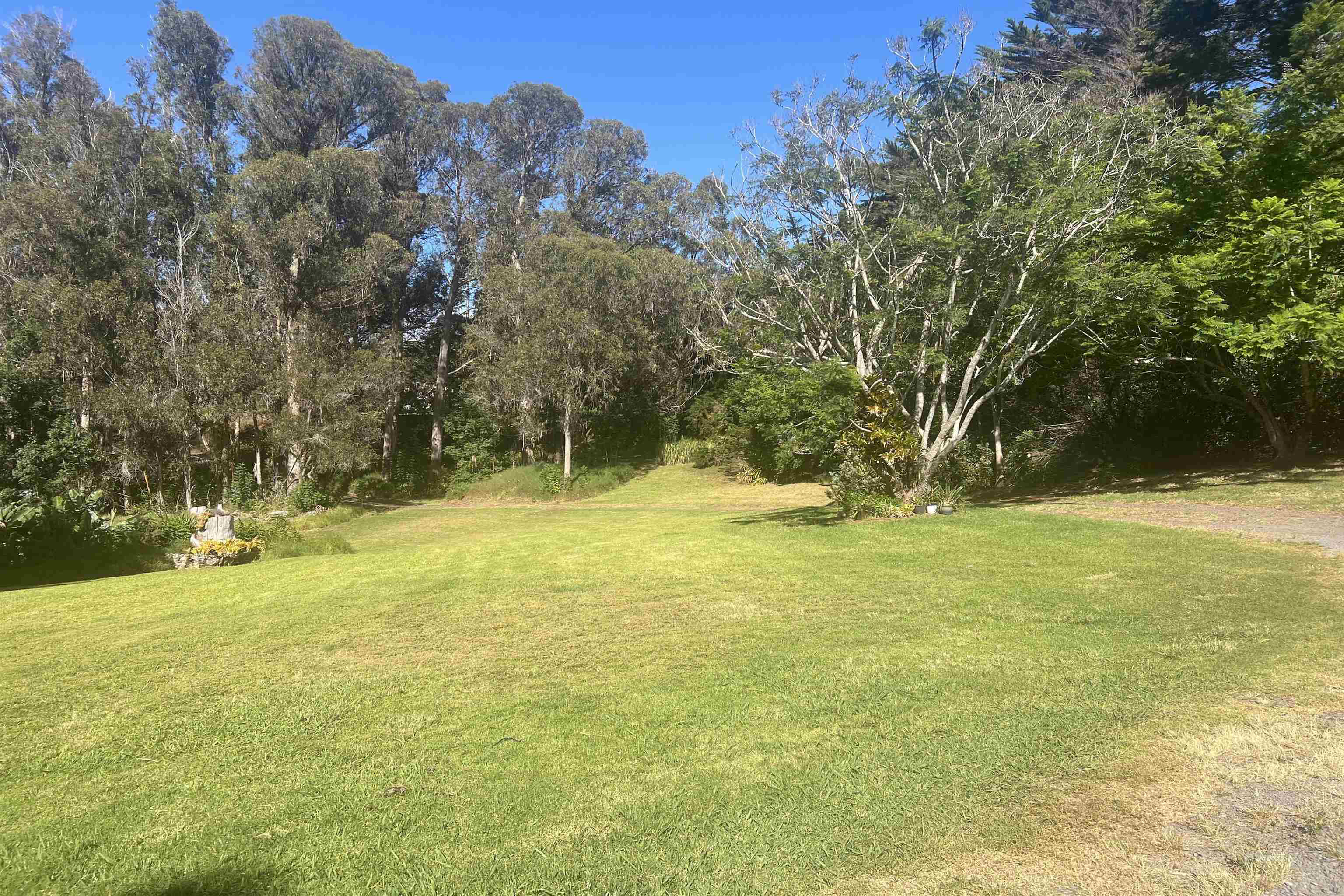 1160  Ehu Rd Upper Piiholo, Makawao/Olinda/Haliimaile home - photo 15 of 18