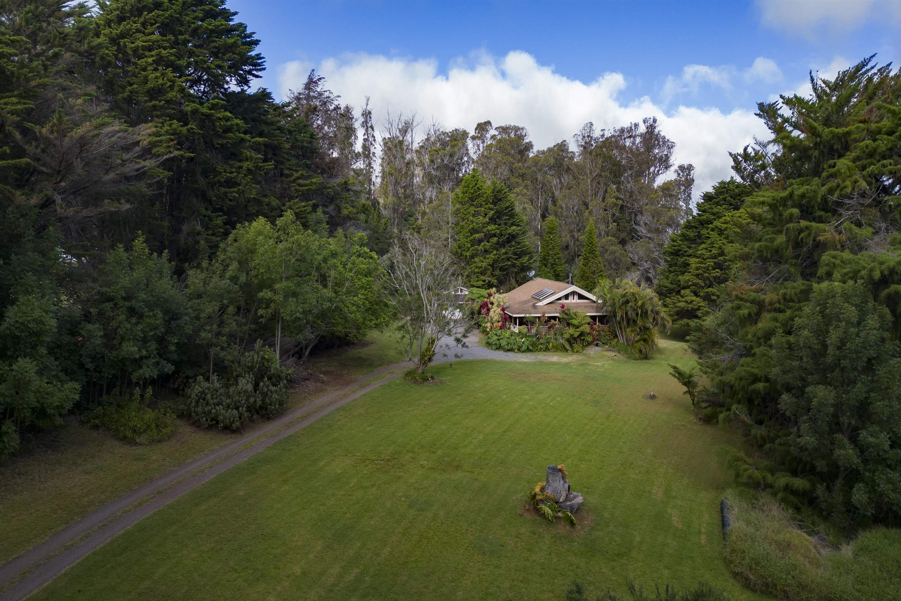 1160  Ehu Rd Upper Piiholo, Makawao/Olinda/Haliimaile home - photo 17 of 18