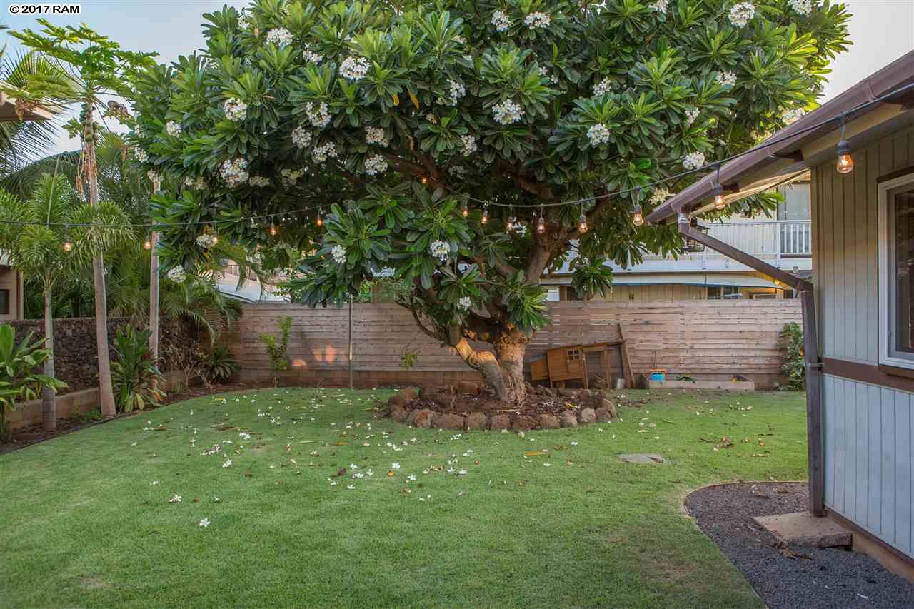 1161  Front St Baby Beach, Lahaina home - photo 19 of 21