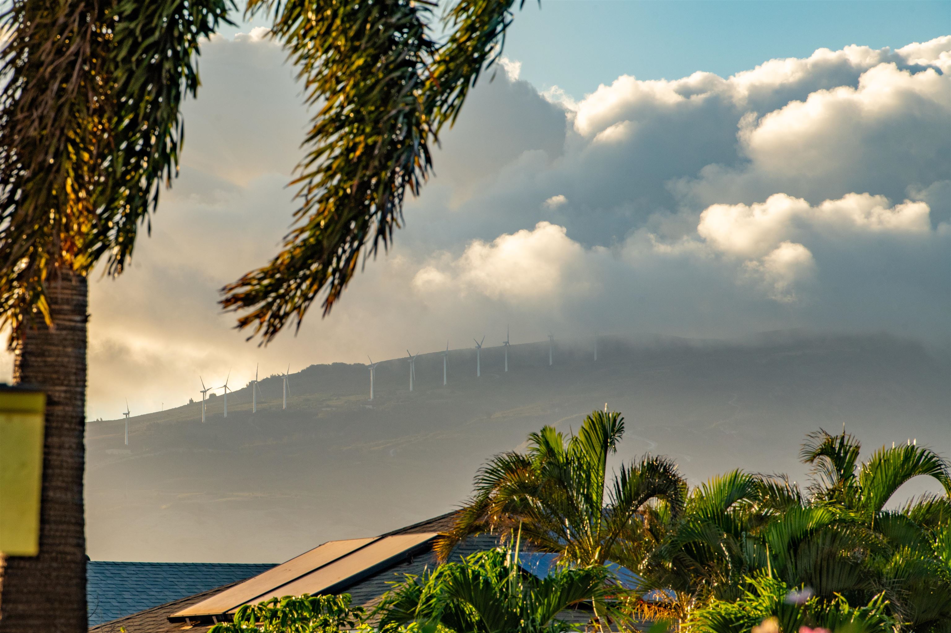 117  Kawailani Cir , Kihei home - photo 39 of 43