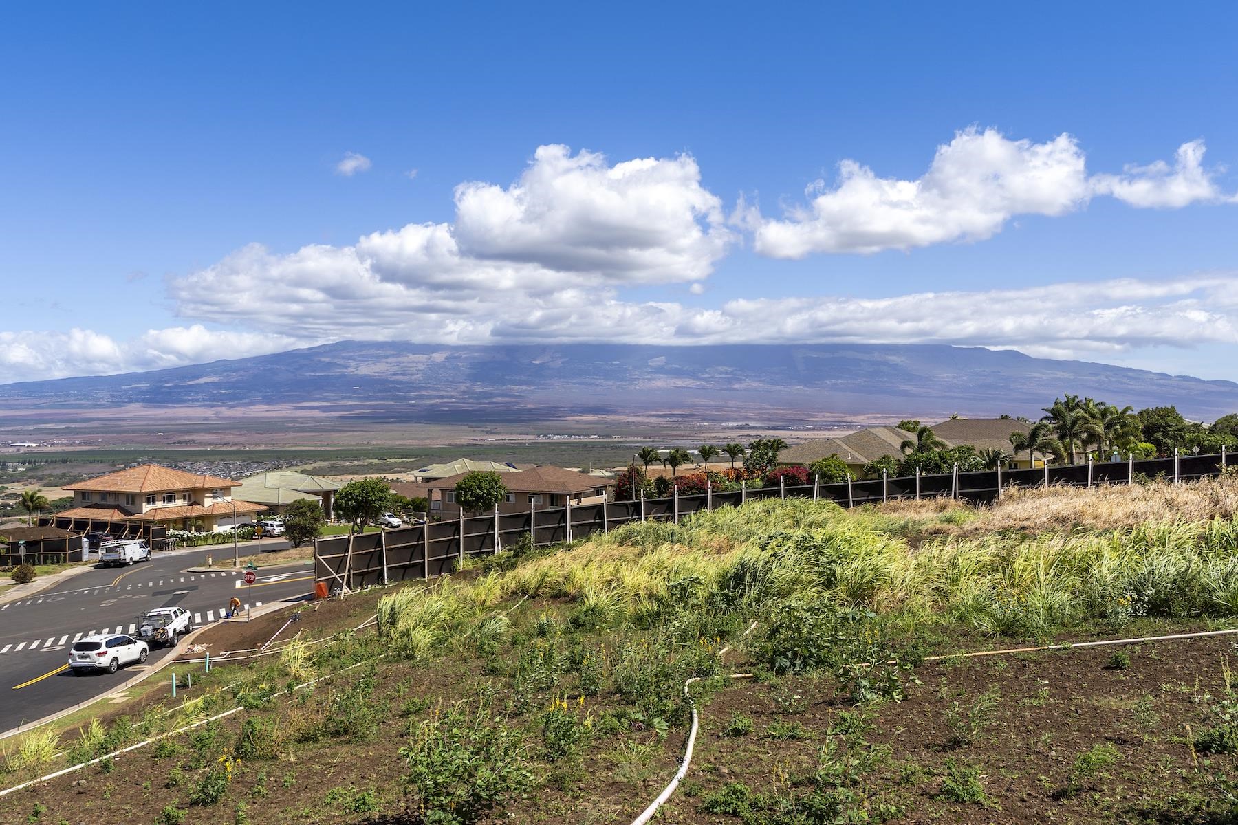 117 Kiha Pl Lot 43 Wailuku, Hi vacant land for sale - photo 4 of 18