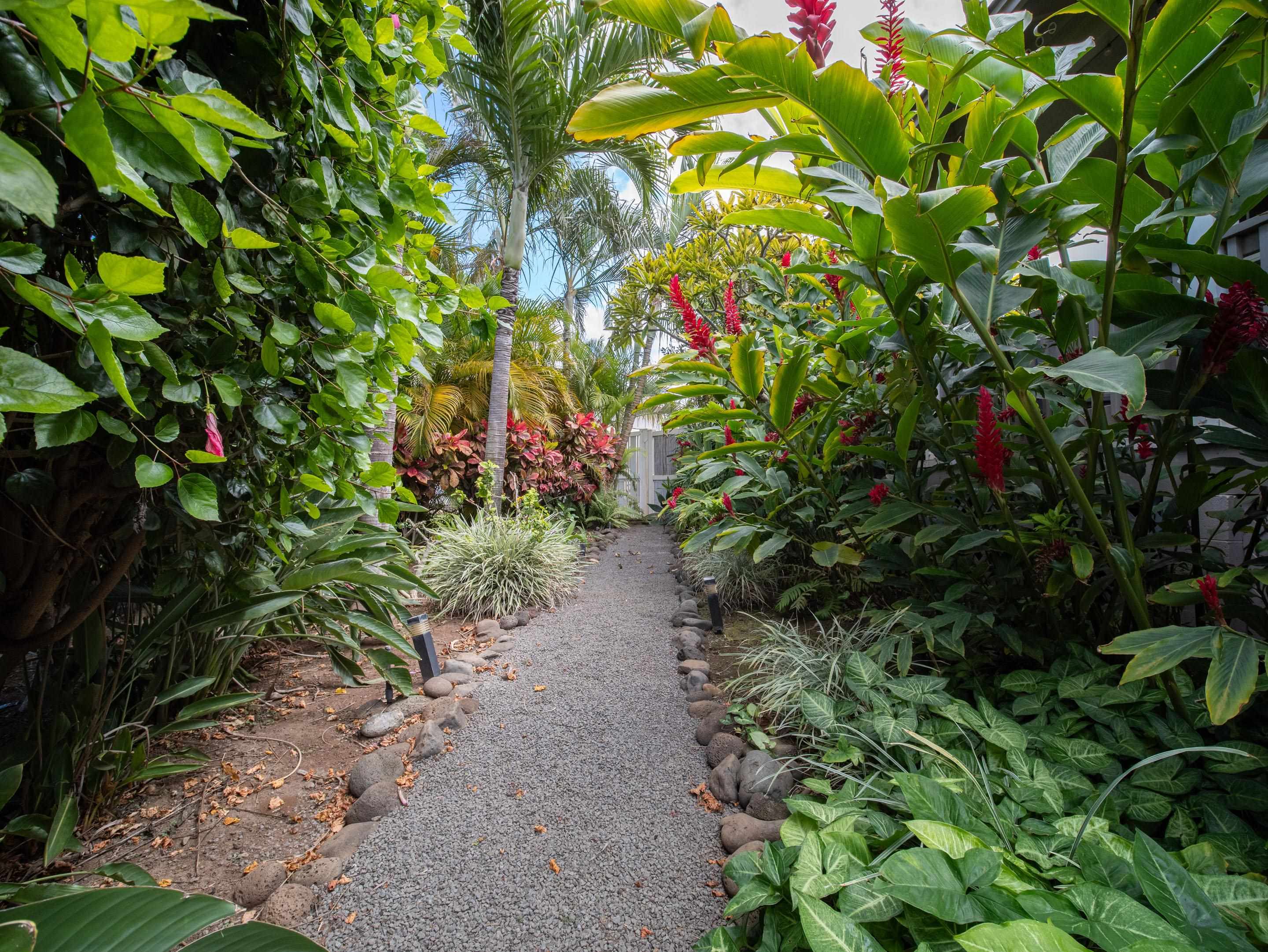 118  Waiapo Pl , Kihei home - photo 24 of 28