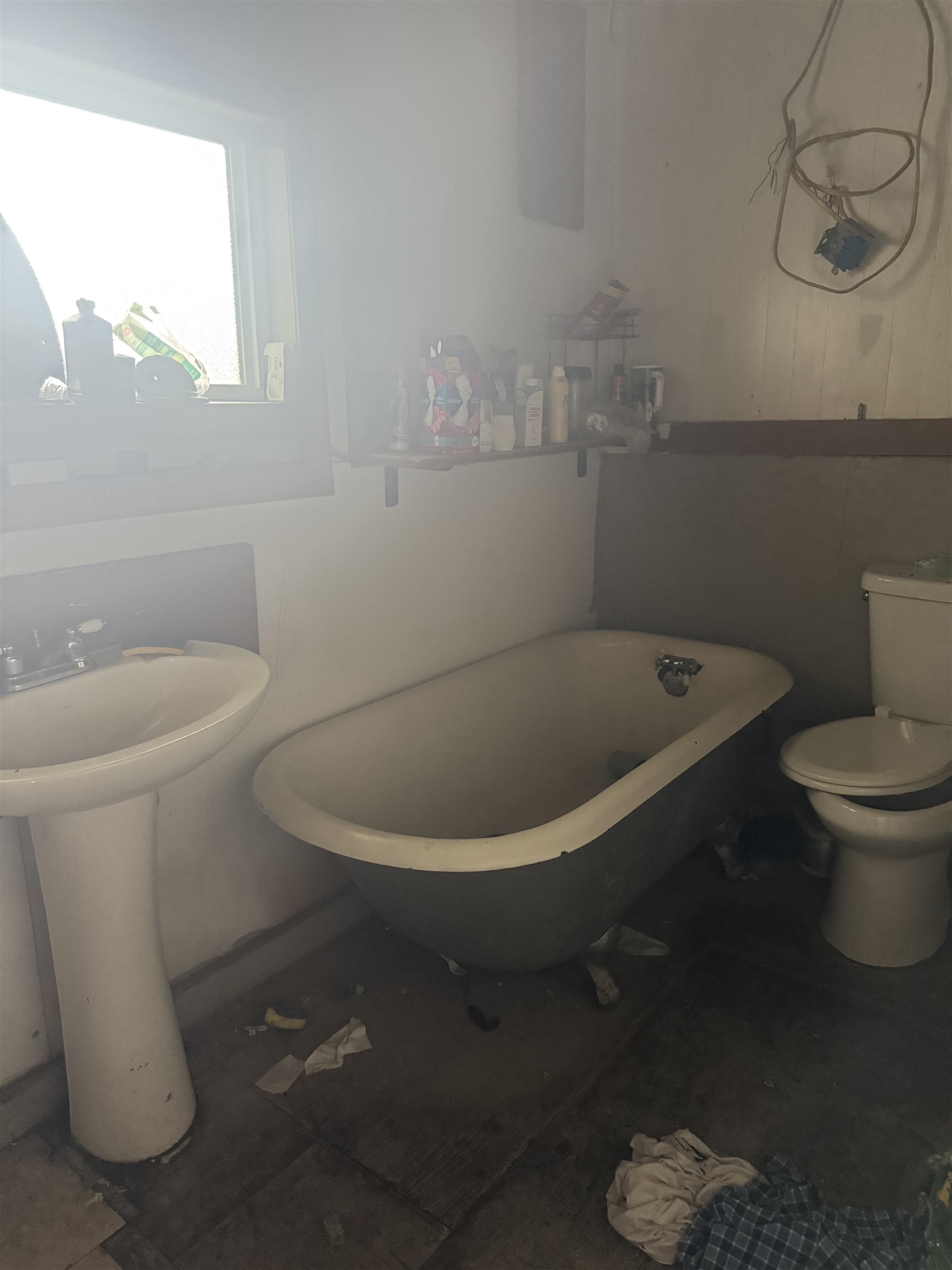 1182  Freitas Pl Makawao, Makawao/Olinda/Haliimaile home - photo 8 of 11