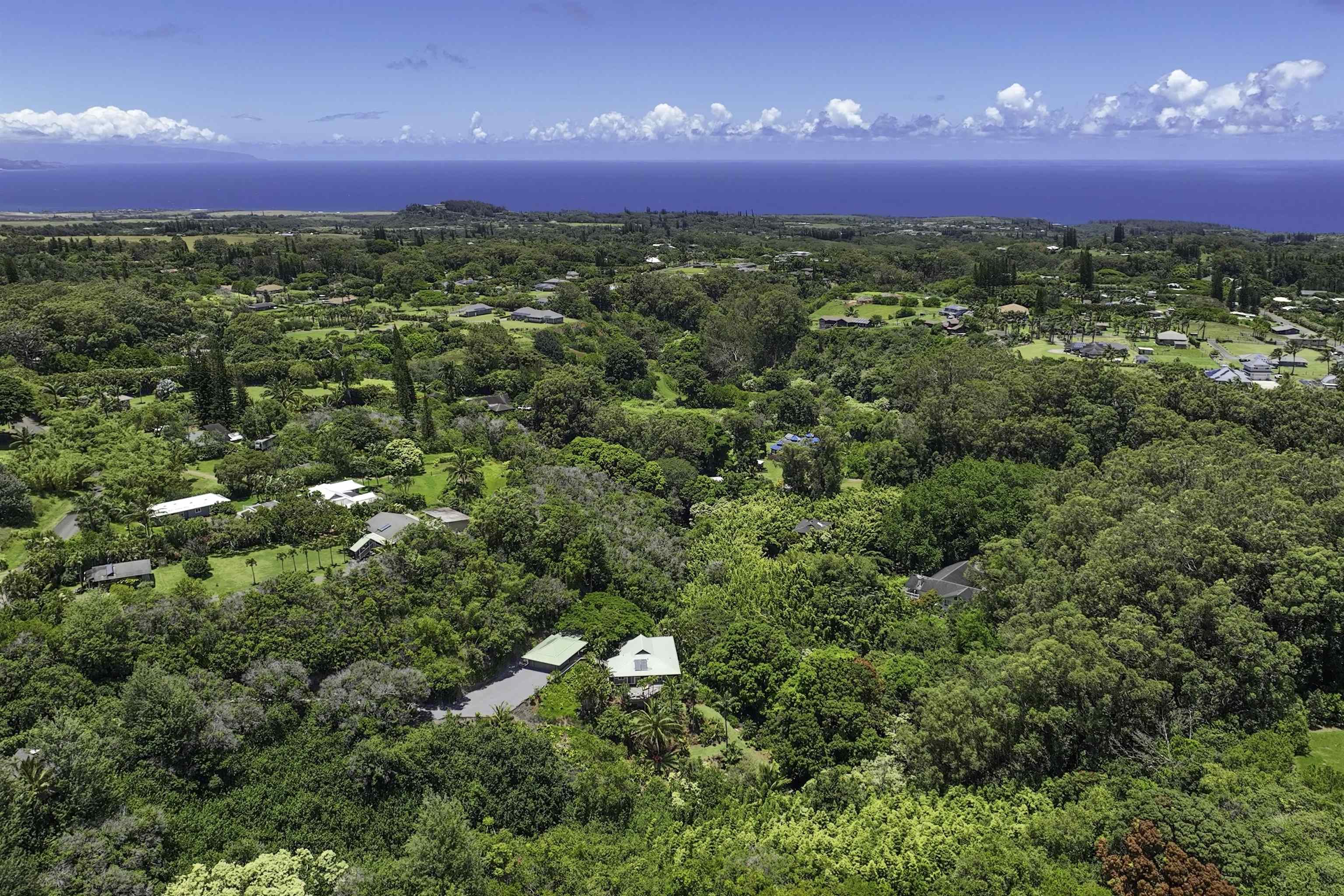 1185  Nanihoku Pl , Haiku home - photo 43 of 50