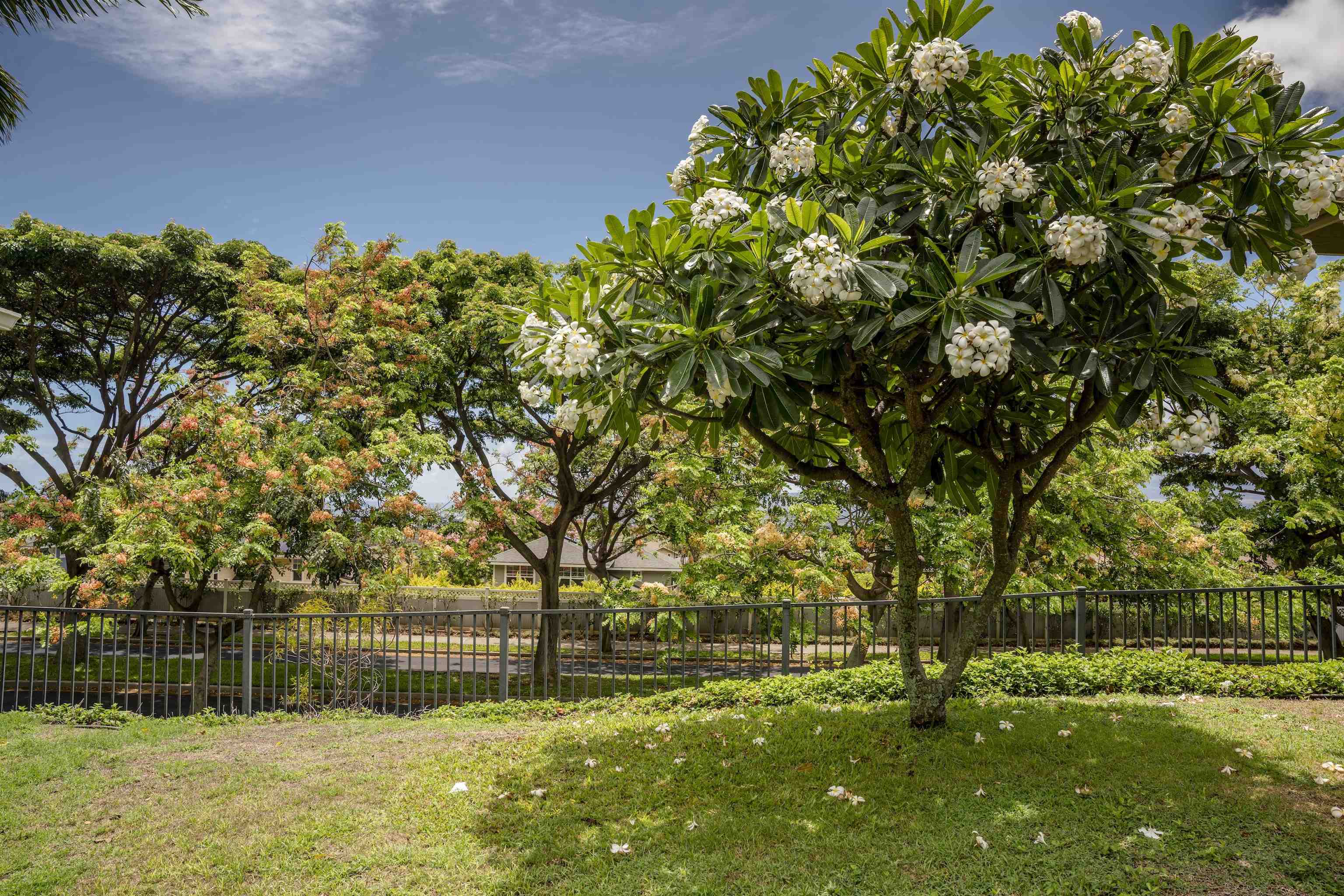 Hoolea Terrace at Kehalani condo # 906, Wailuku, Hawaii - photo 26 of 32
