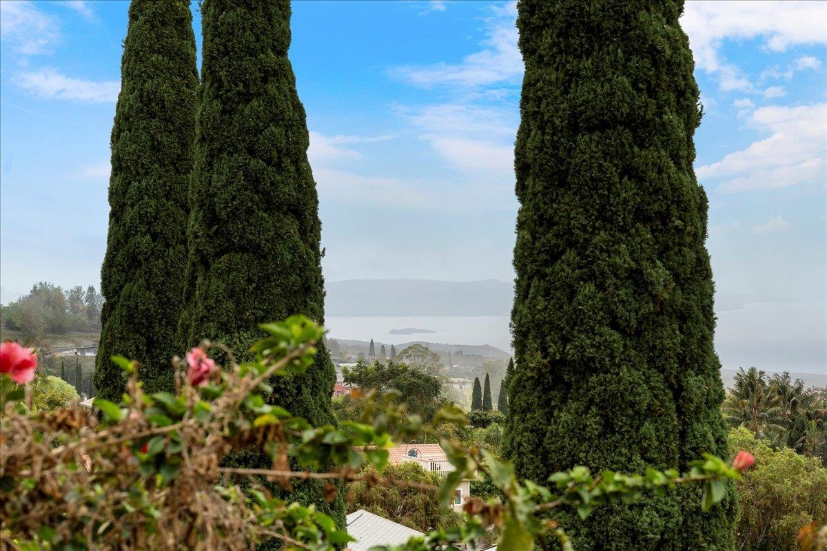 119  Ka Dr Kula Kai, Kula/Ulupalakua/Kanaio home - photo 14 of 45