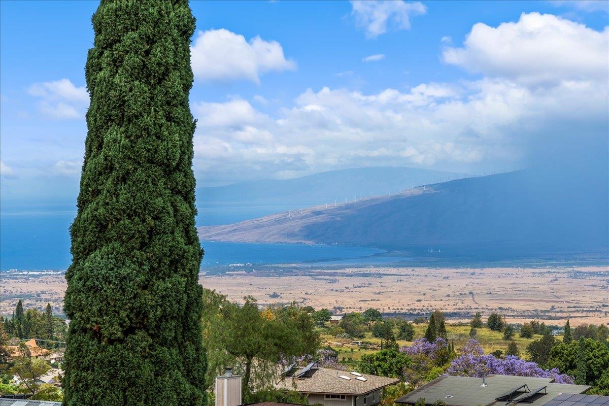 119  Ka Dr Kula Kai, Kula/Ulupalakua/Kanaio home - photo 15 of 45