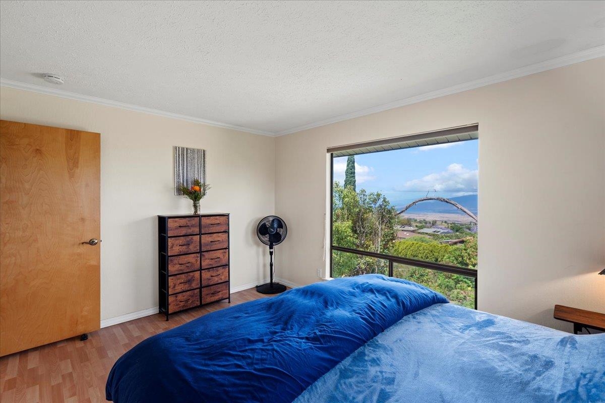 119  Ka Dr Kula Kai, Kula/Ulupalakua/Kanaio home - photo 3 of 45