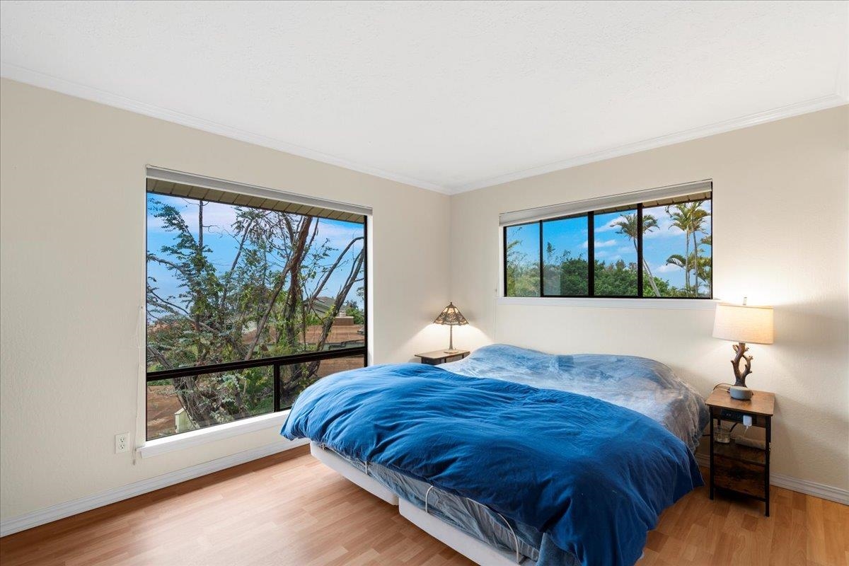 119  Ka Dr Kula Kai, Kula/Ulupalakua/Kanaio home - photo 23 of 45