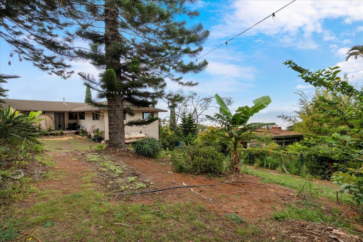 119  Ka Dr Kula Kai, Kula/Ulupalakua/Kanaio home - photo 35 of 45