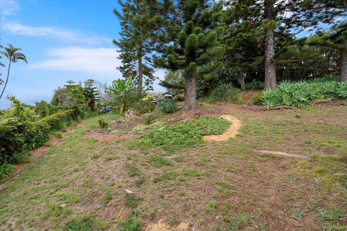 119  Ka Dr Kula Kai, Kula/Ulupalakua/Kanaio home - photo 36 of 45