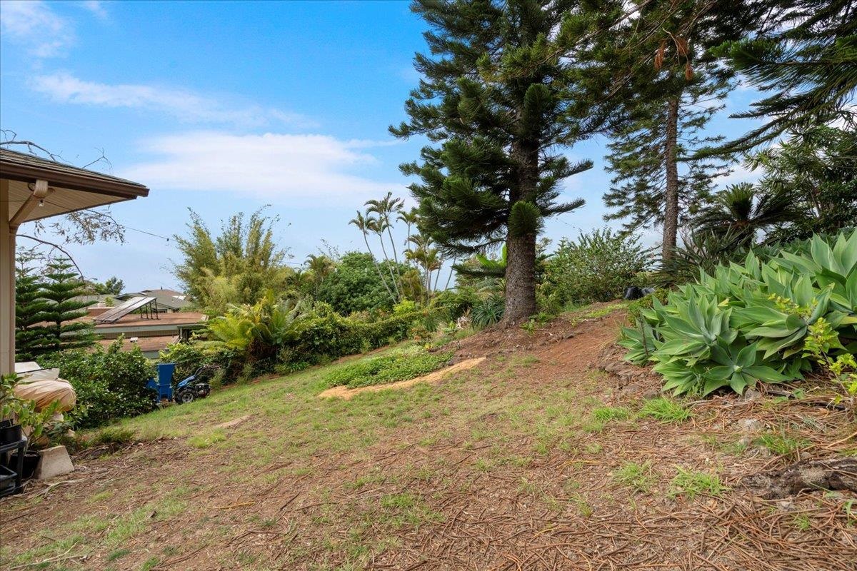 119  Ka Dr Kula Kai, Kula/Ulupalakua/Kanaio home - photo 37 of 45