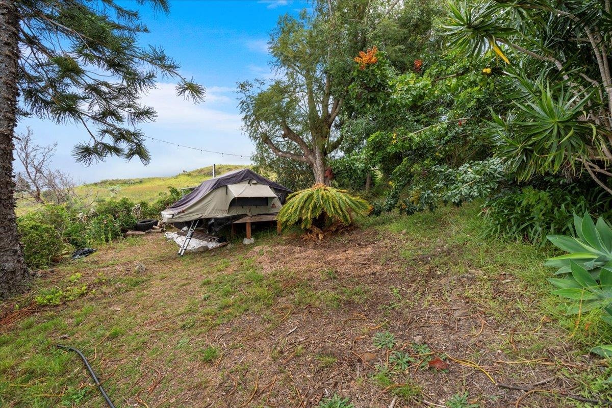 119  Ka Dr Kula Kai, Kula/Ulupalakua/Kanaio home - photo 38 of 45
