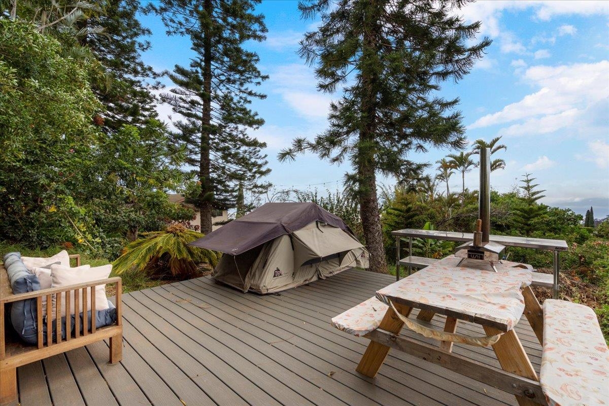 119  Ka Dr Kula Kai, Kula/Ulupalakua/Kanaio home - photo 39 of 45