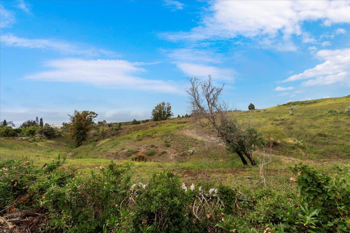119  Ka Dr Kula Kai, Kula/Ulupalakua/Kanaio home - photo 41 of 45