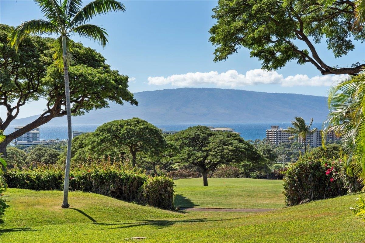 Vintage at Kaanapali condo # 19, Lahaina, Hawaii - photo 39 of 49