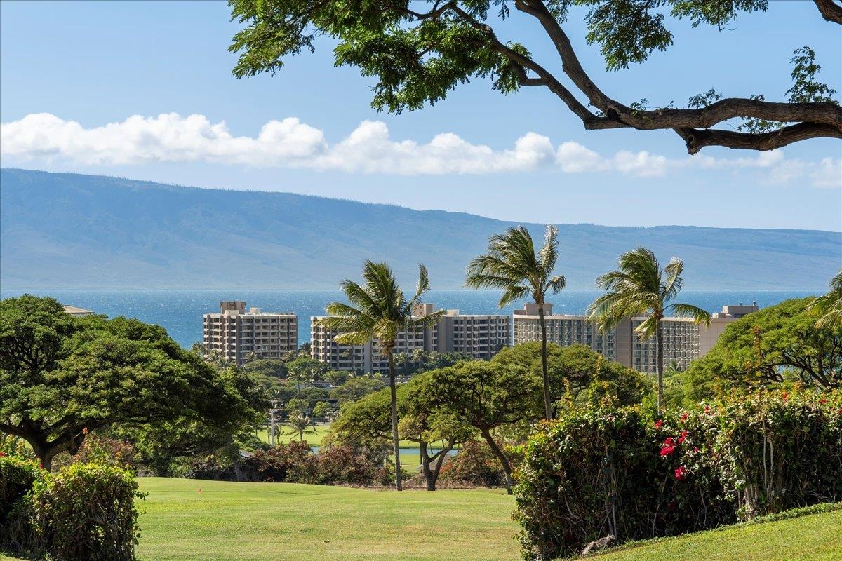 Vintage at Kaanapali condo # 19, Lahaina, Hawaii - photo 41 of 49