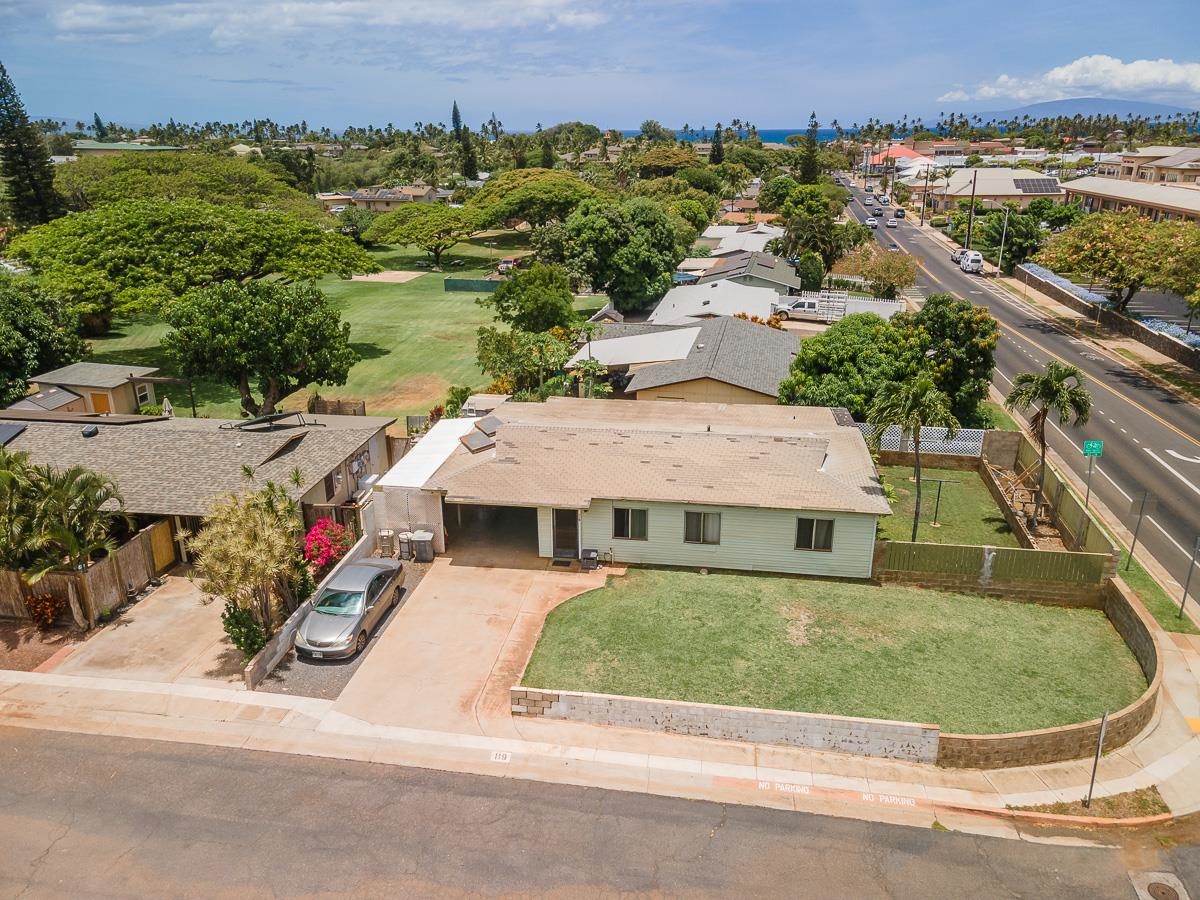119  Kupalaiki Loop Lipoa, Kihei home - photo 3 of 50