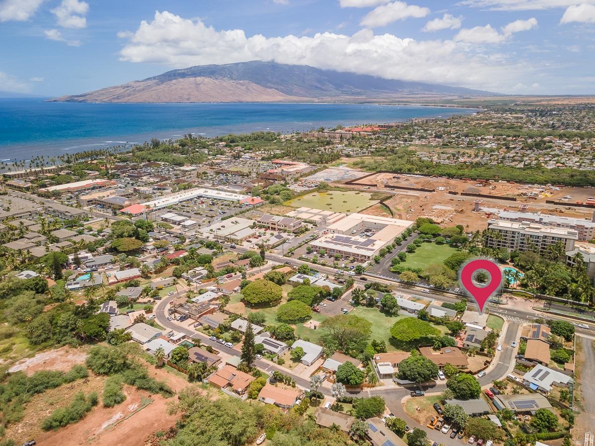 119  Kupalaiki Loop Lipoa, Kihei home - photo 47 of 49