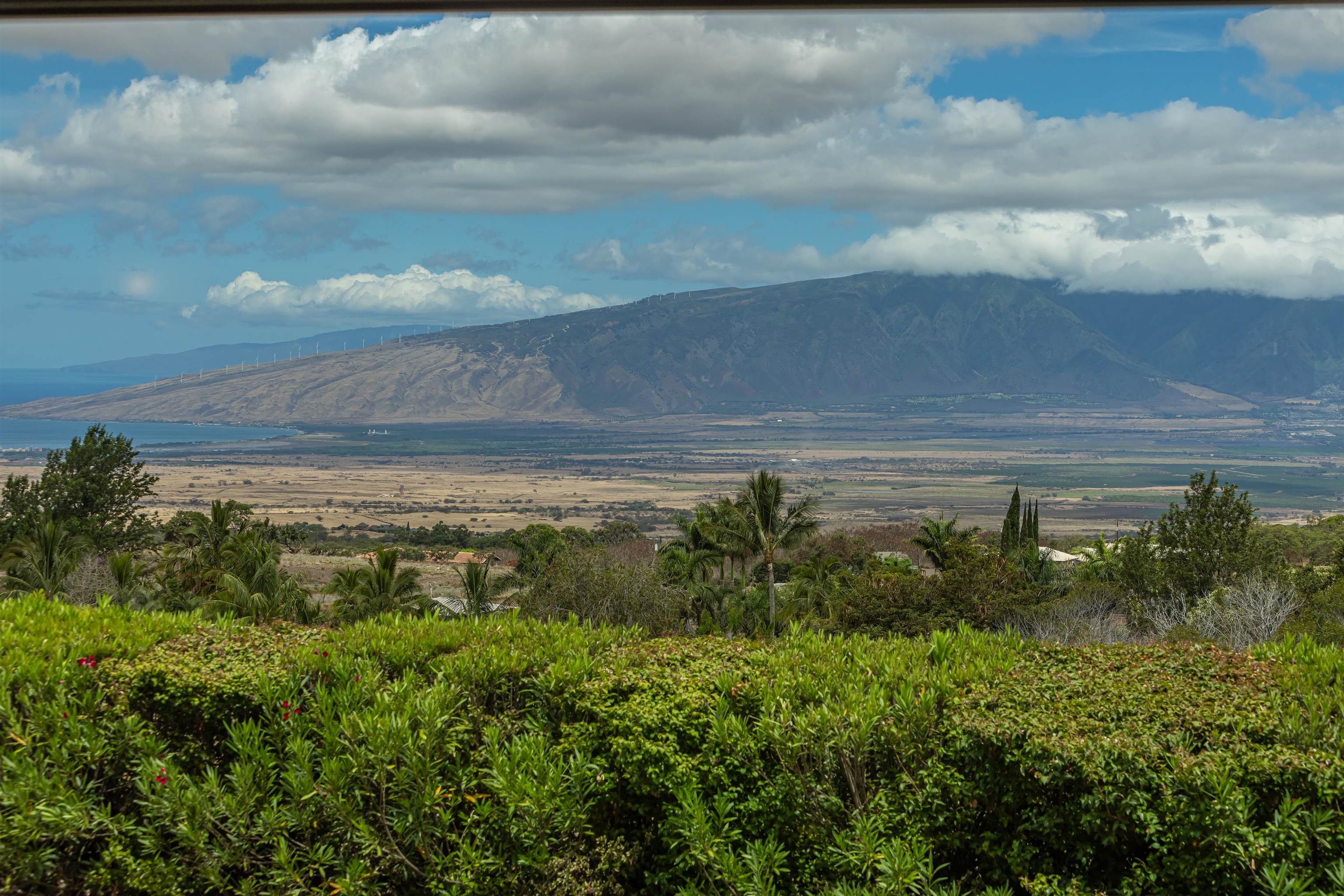 1195  Omaopio Rd Lower Kula, Kula/Ulupalakua/Kanaio home - photo 3 of 50