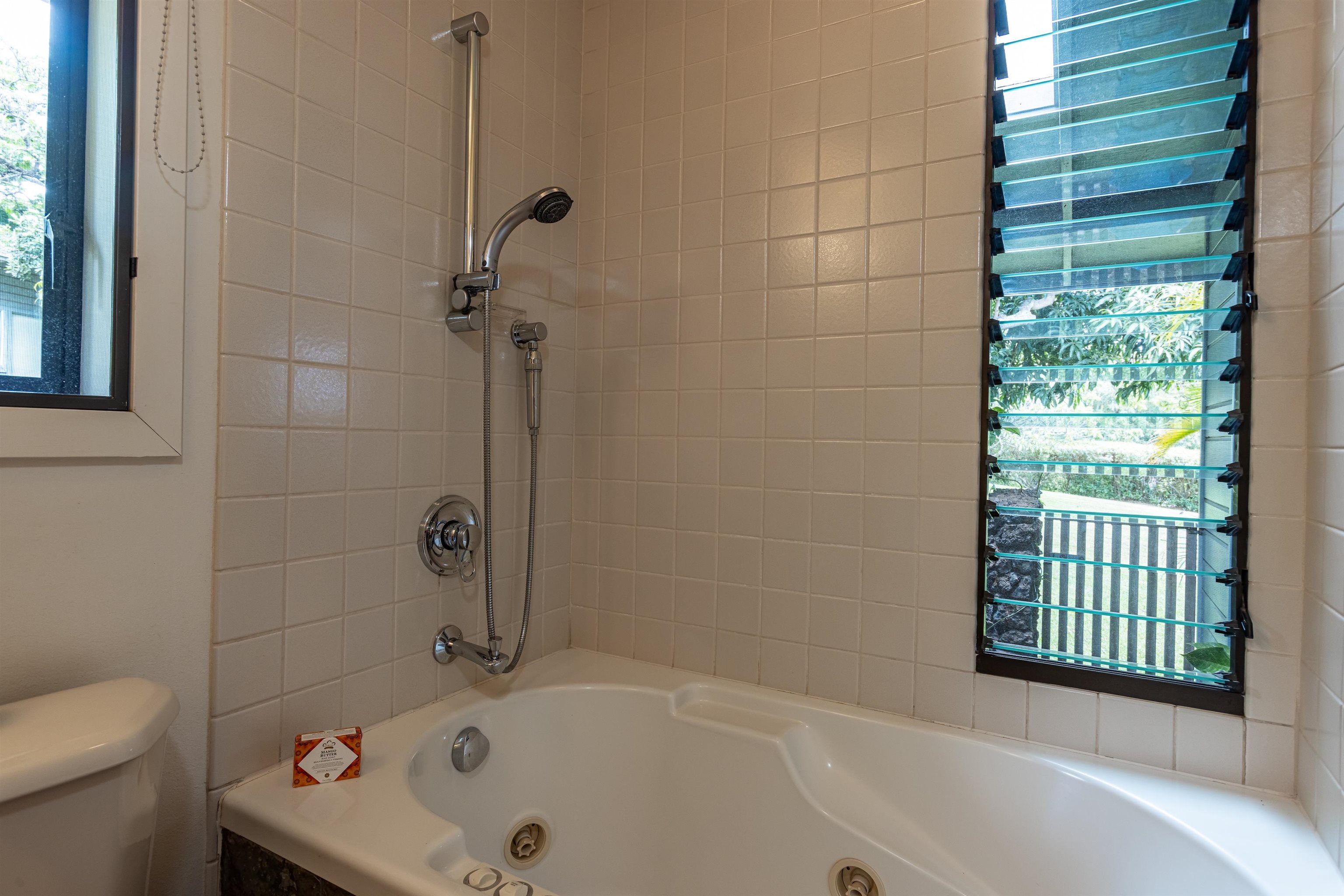 1195  Omaopio Rd Lower Kula, Kula/Ulupalakua/Kanaio home - photo 26 of 50