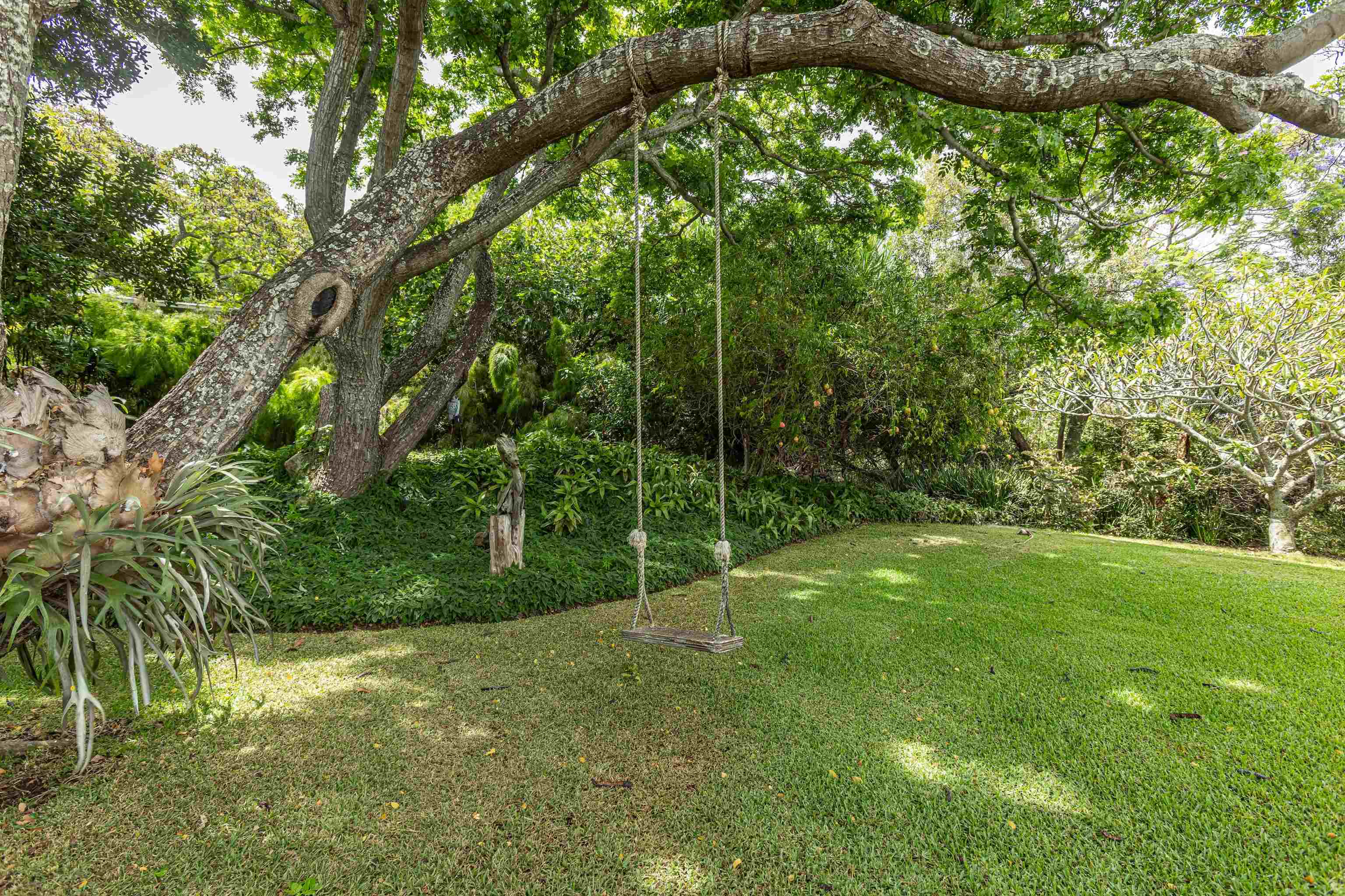 1195  Omaopio Rd Lower Kula, Kula/Ulupalakua/Kanaio home - photo 35 of 50