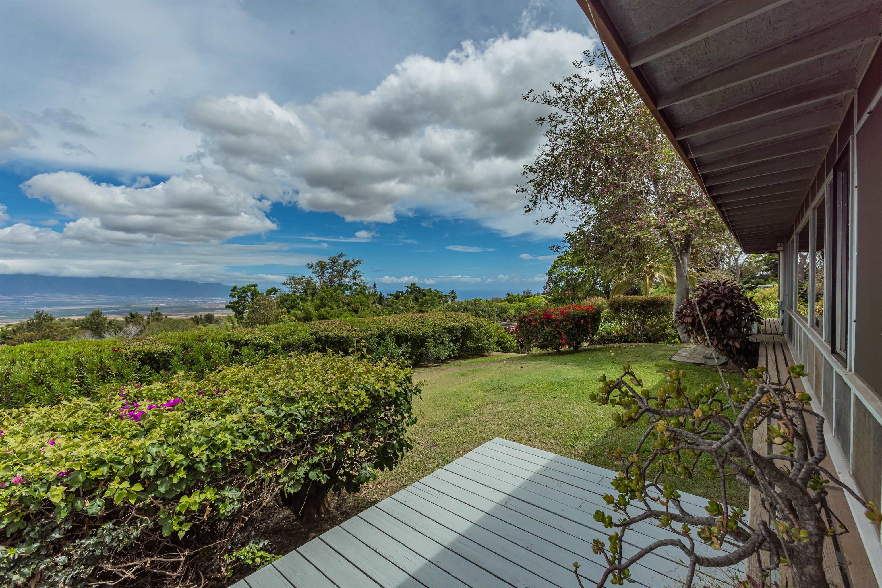 1195  Omaopio Rd Lower Kula, Kula/Ulupalakua/Kanaio home - photo 39 of 50