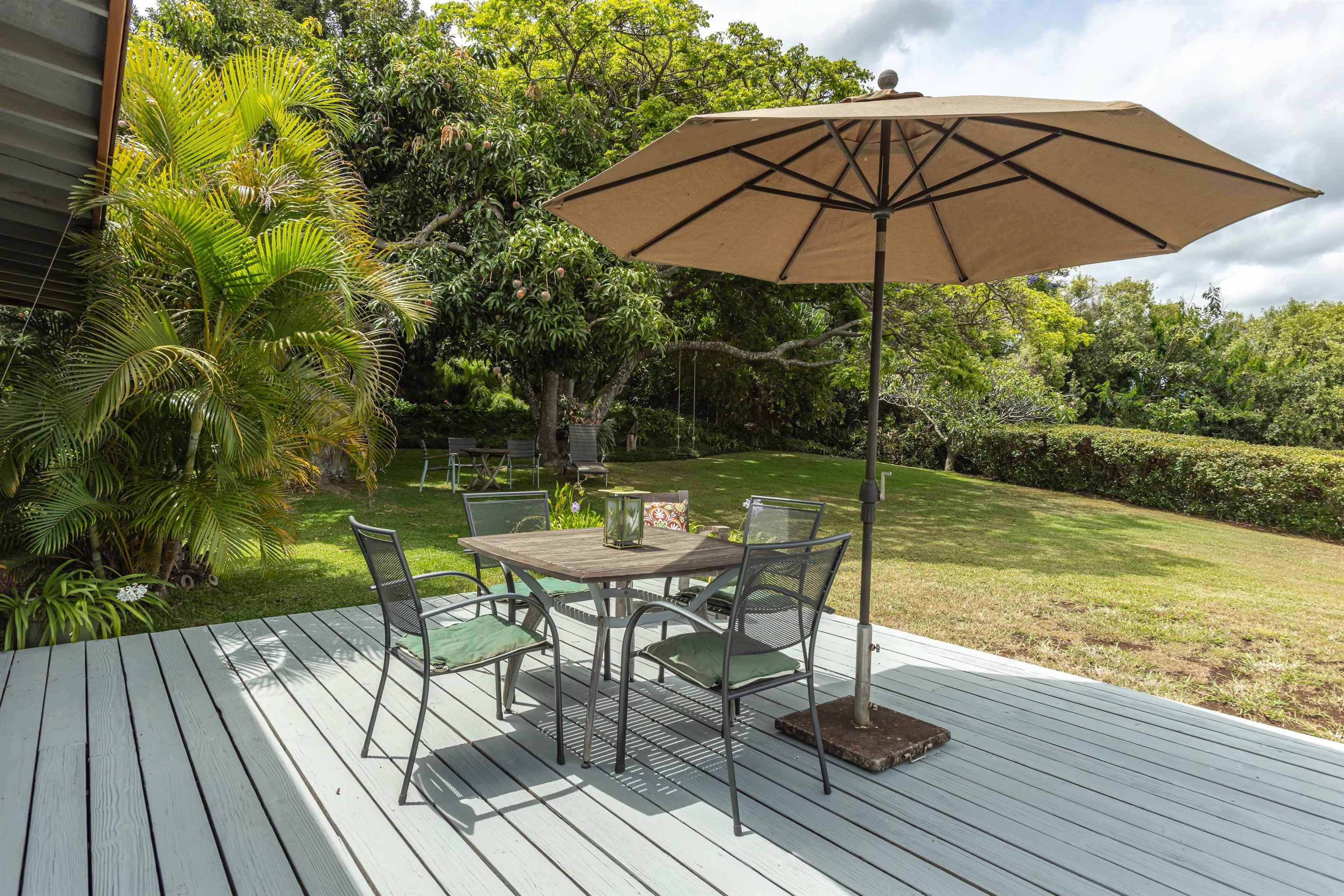 1195  Omaopio Rd Lower Kula, Kula/Ulupalakua/Kanaio home - photo 41 of 50