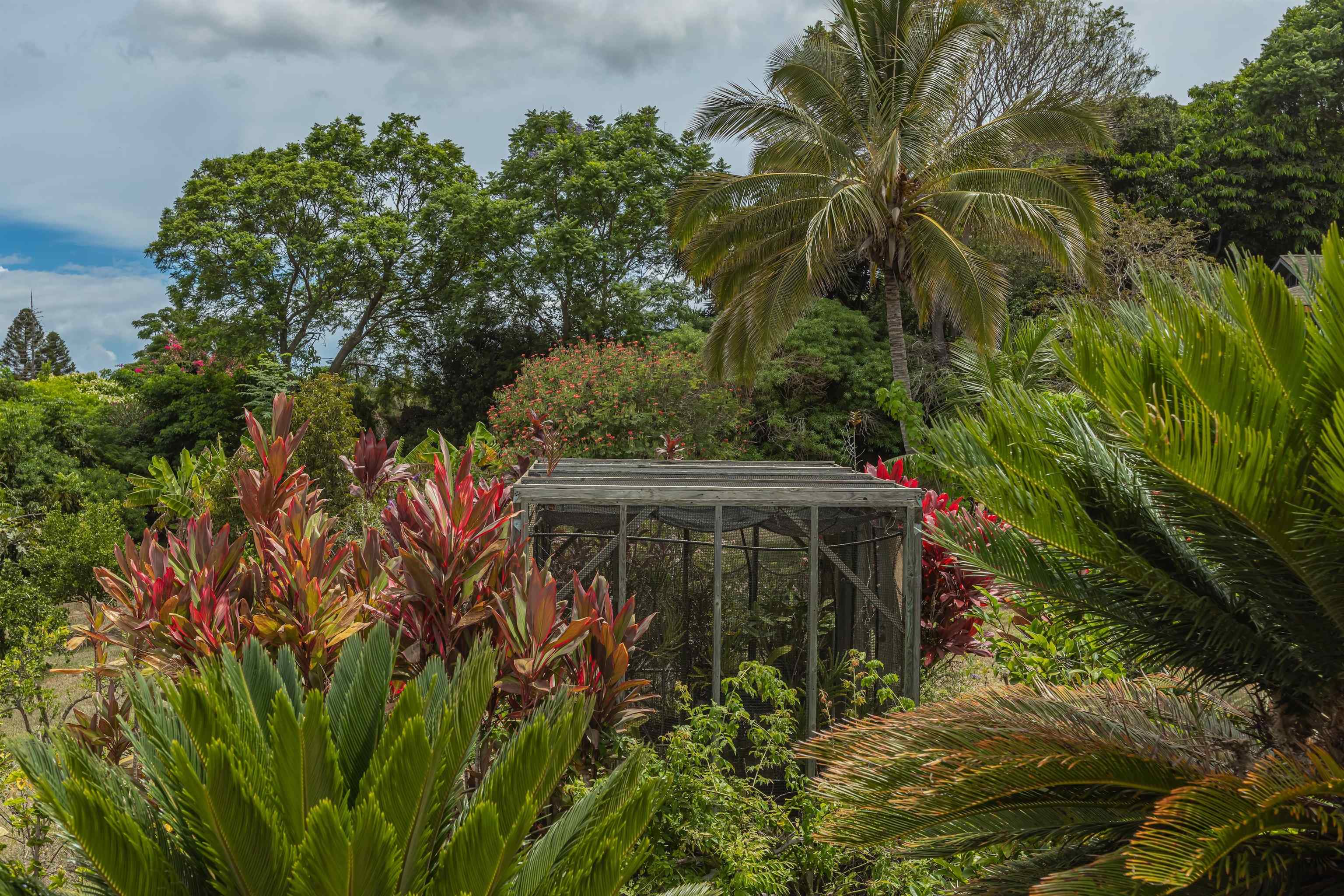 1195  Omaopio Rd Lower Kula, Kula/Ulupalakua/Kanaio home - photo 47 of 50